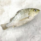 White Snapper 白皂鱼 (Whole Fish)